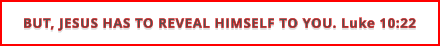 BUT, JESUS HAS TO REVEAL HIMSELF TO YOU. Luke 10:22